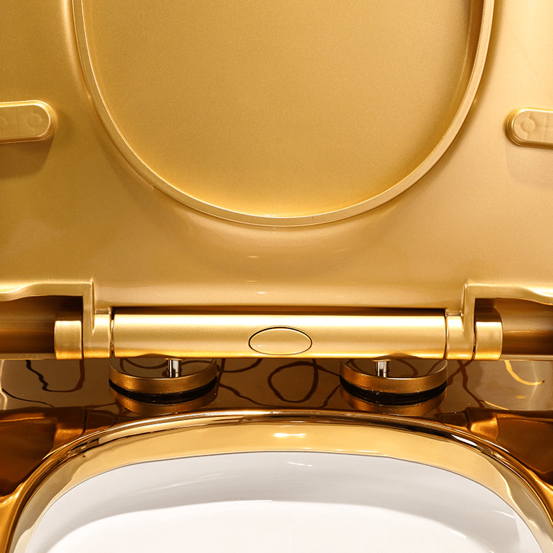 Divine Toilet With Gold Lines-Ornaments  -  Gold Toilets