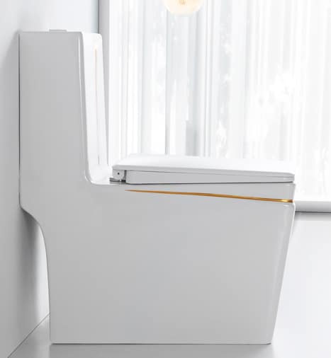 Angular Toilet With An Elegant Gold Stripe  -  Gold Toilets