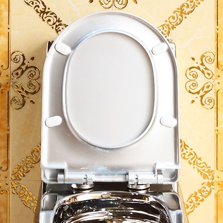 Luxury Design Silver Toilet  -  Silver Toilets