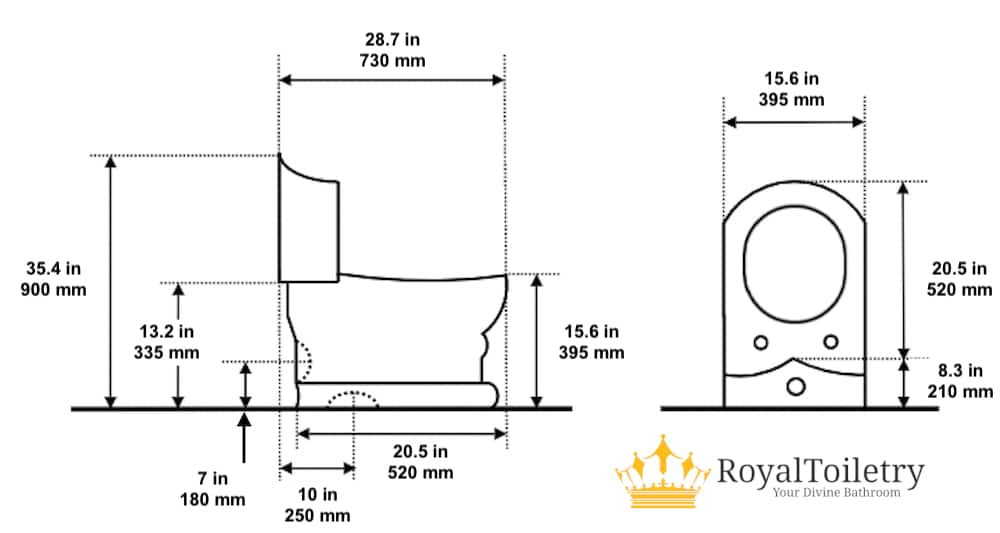 Royal Black Toilet With Gold Accents dimensions