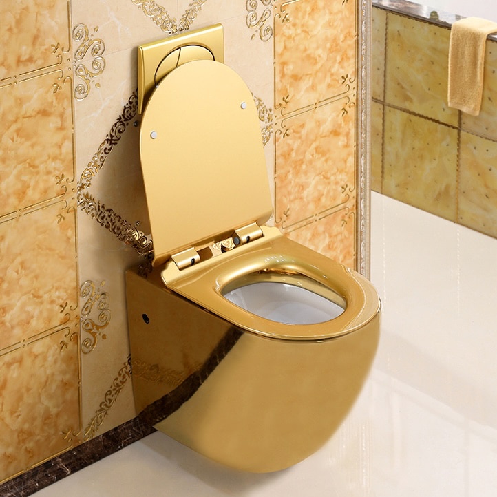 Modern Wall Mounted Plain Gold Toilet  -  Gold Toilets