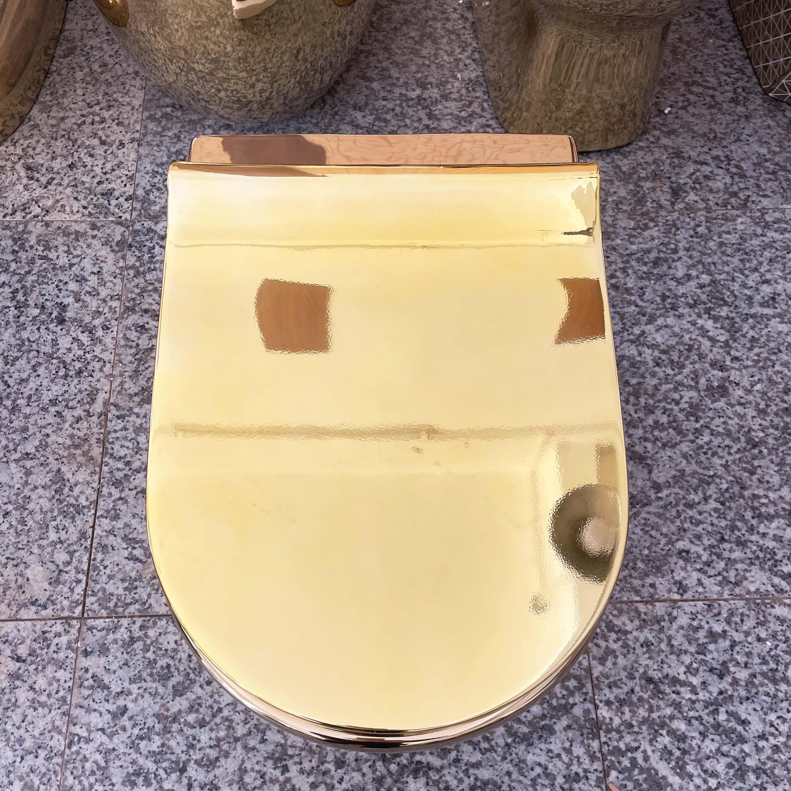 Modern Wall Mounted Plain Gold Toilet  -  Gold Toilets