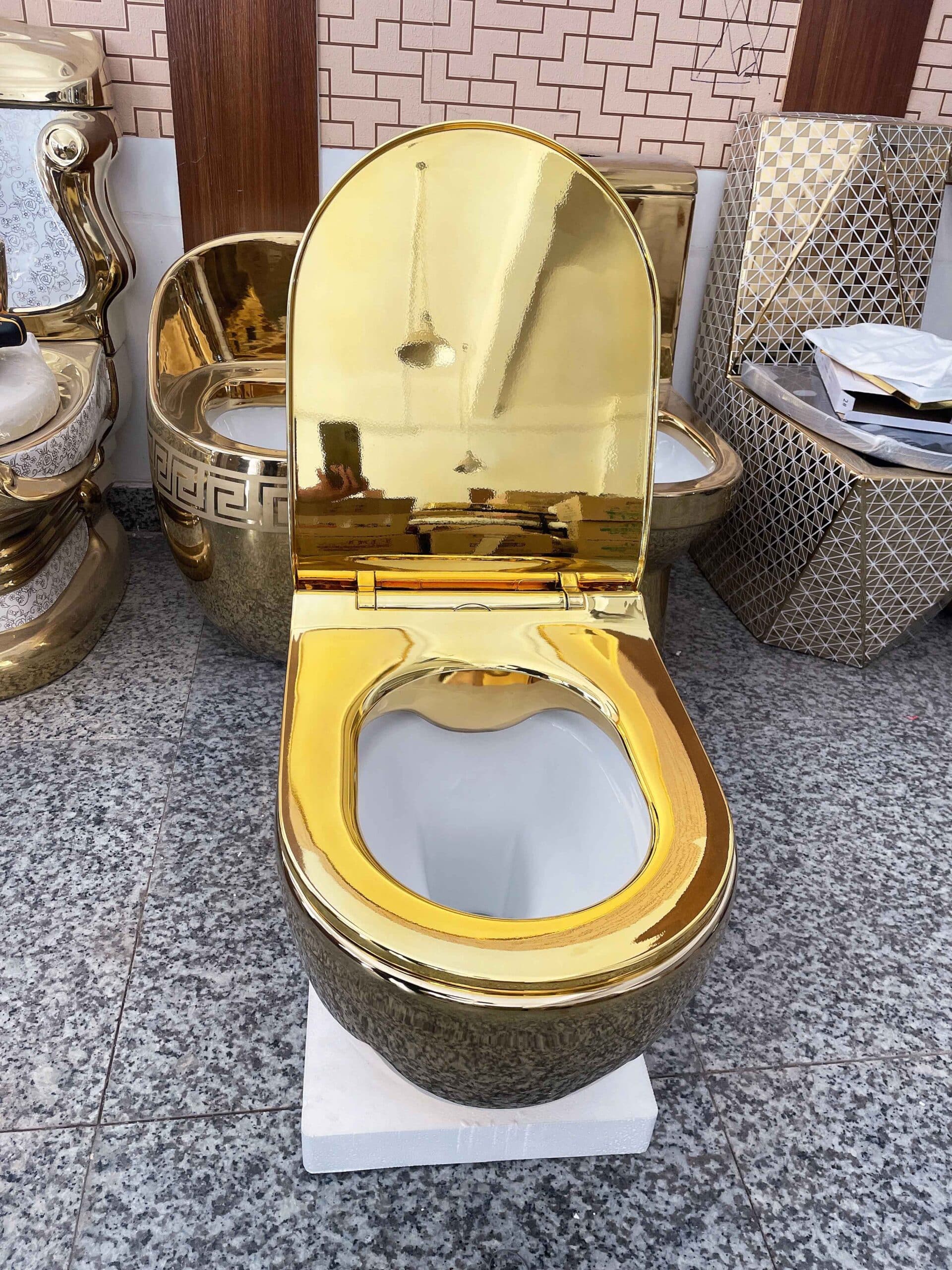 Modern Wall Mounted Plain Gold Toilet  -  Gold Toilets