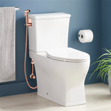 Different types of bidets - a hand-held bidet mounted to the toilet