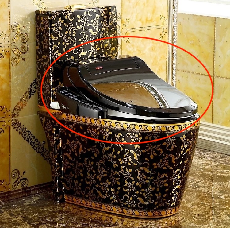 Black Smart Bidet Toilet Seat  -  Toilet Accessories