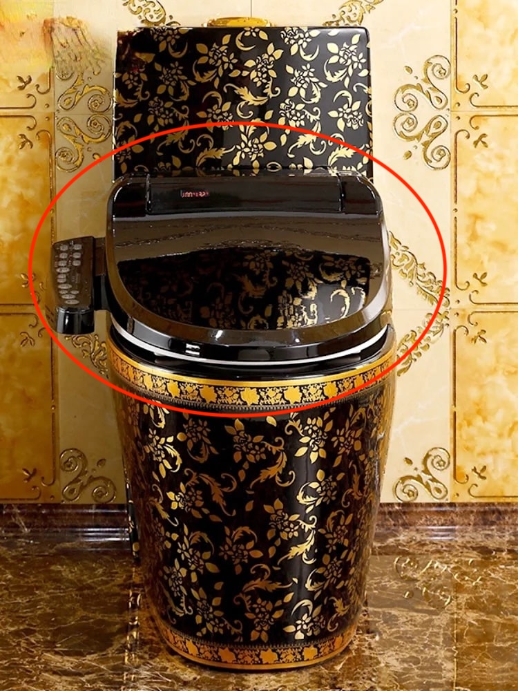 Black Smart Bidet Toilet Seat  -  Toilet Accessories